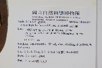 古鉤藤藏品圖，第2張