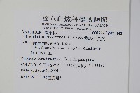 爵床、六角英藏品圖，第2張