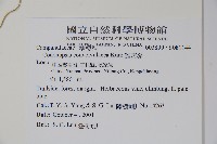 雞蛋參藏品圖，第2張