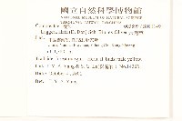 六角草藏品圖，第2張