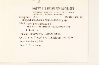 紅面番藏品圖，第2張