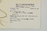 登錄號:S081160藏品圖，第2張