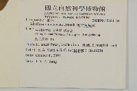 雲南兔兒風藏品圖，第2張