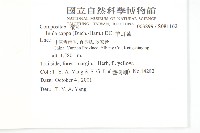 羊耳菊藏品圖，第2張
