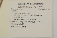 登錄號:S081163藏品圖，第2張