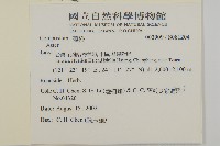 臺灣馬蘭藏品圖，第2張