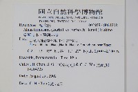 臺灣赤楊、臺灣榿木藏品圖，第2張