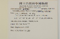 草珊瑚、紅果金粟蘭藏品圖，第2張