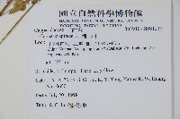 刺山柑藏品圖，第2張