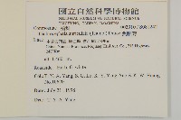 魚眼菊藏品圖，第2張