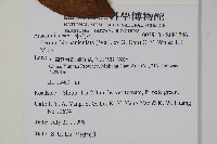 登錄號:S081246藏品圖，第2張