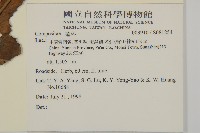 登錄號:S081254藏品圖，第2張