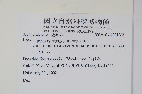 登錄號:S081269藏品圖，第2張