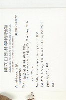 登錄號:S081295藏品圖，第2張