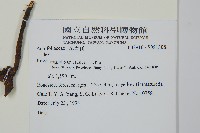 登錄號:S081308藏品圖，第2張