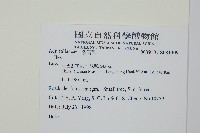 登錄號:S081309藏品圖，第2張