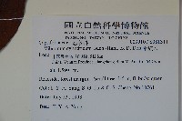 水紅木藏品圖，第2張