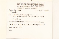 登錄號:S081334藏品圖，第2張