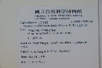 水紅木藏品圖，第2張