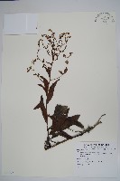 登錄號:S081372藏品圖，第1張