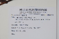 登錄號:S081372藏品圖，第2張