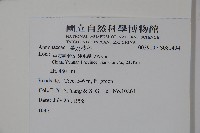 登錄號:S081404藏品圖，第2張