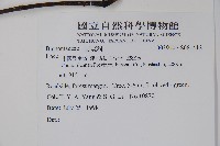 登錄號:S081412藏品圖，第2張