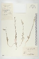 登錄號:S081443藏品圖，第3張