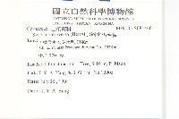 燈台樹藏品圖，第2張