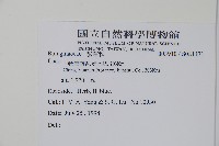 登錄號:S081471藏品圖，第2張