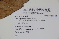 登錄號:S081473藏品圖，第4張