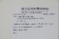 登錄號:S081473藏品圖，第6張