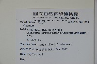 登錄號:S081525藏品圖，第2張