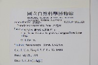 清香木藏品圖，第2張