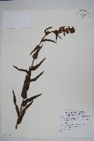 登錄號:S081535藏品圖，第1張