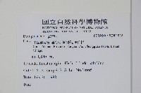 登錄號:S081535藏品圖，第2張