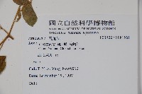 登錄號:S081561藏品圖，第2張