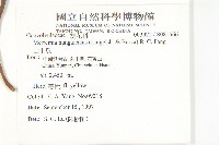 山土瓜藏品圖，第2張