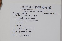 華榛藏品圖，第2張