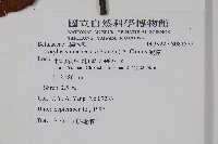 滇榛藏品圖，第2張