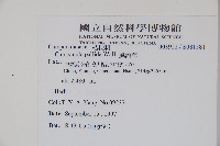 風鈴草藏品圖，第2張