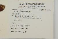 雲南兔兒風藏品圖，第2張