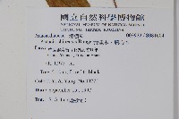 黃連木、爛心木藏品圖，第2張