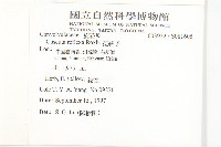 菟絲子藏品圖，第2張