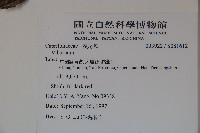 登錄號:S081612藏品圖，第2張