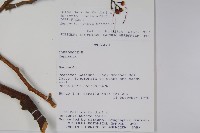 登錄號:S081647藏品圖，第2張