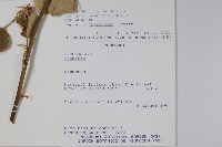 登錄號:S081649藏品圖，第2張