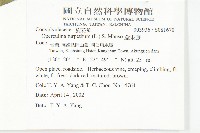 盒果藤藏品圖，第2張