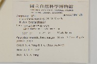 香澤蘭、飛機草藏品圖，第2張