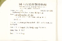 翼莖闊苞菊藏品圖，第3張